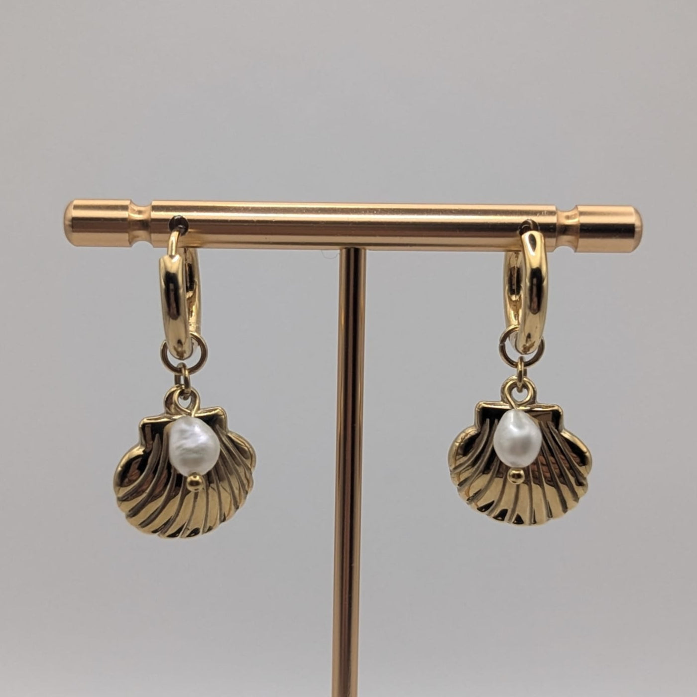 Scallop Shell Earrings
