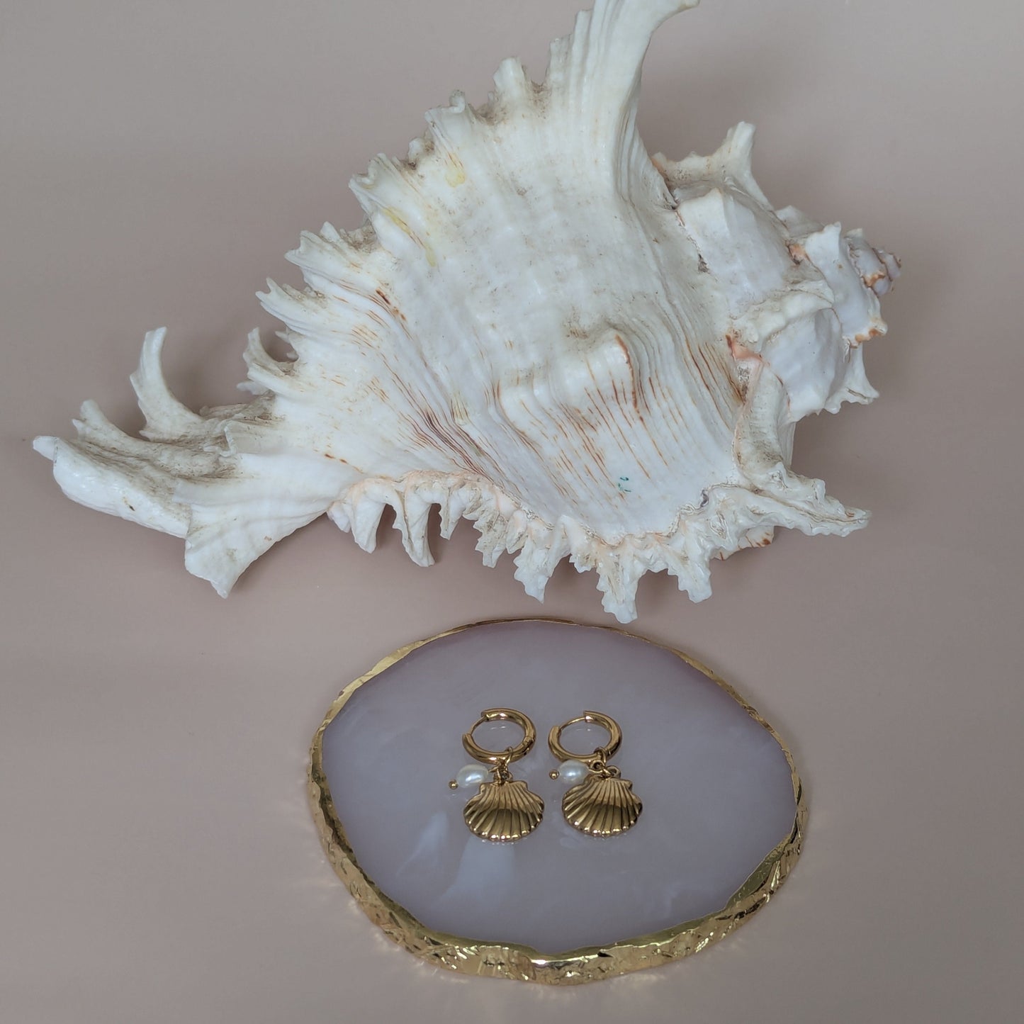 Scallop Shell Earrings