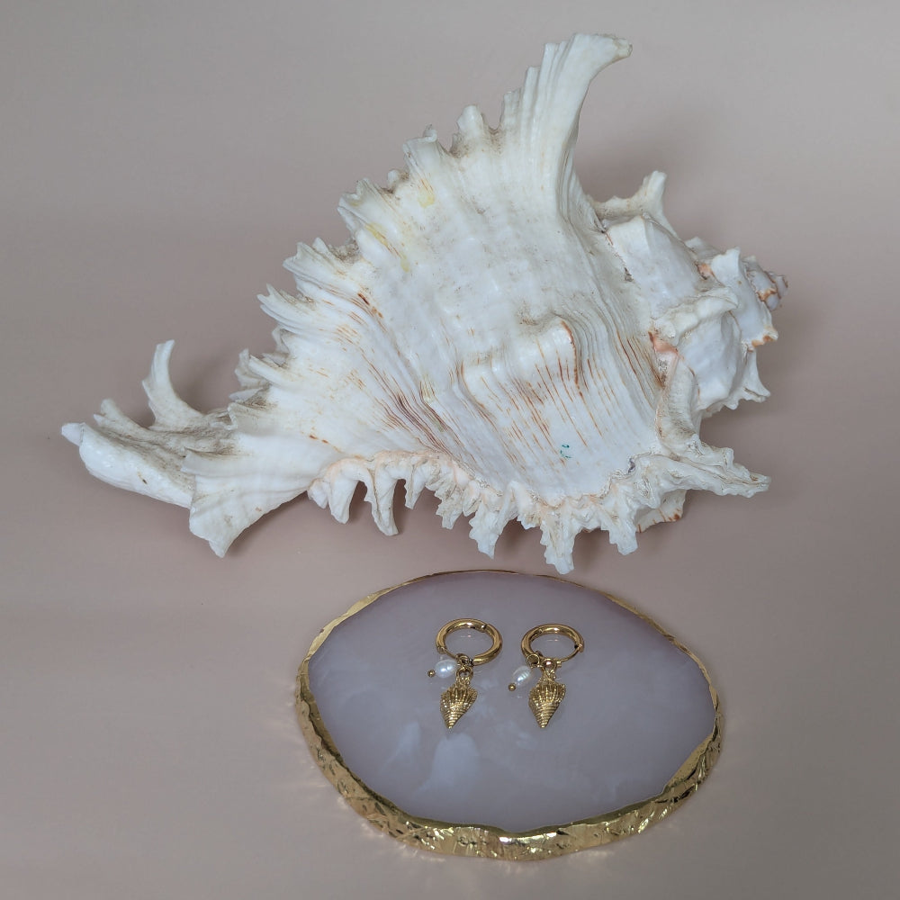 Cone Shell Earrings
