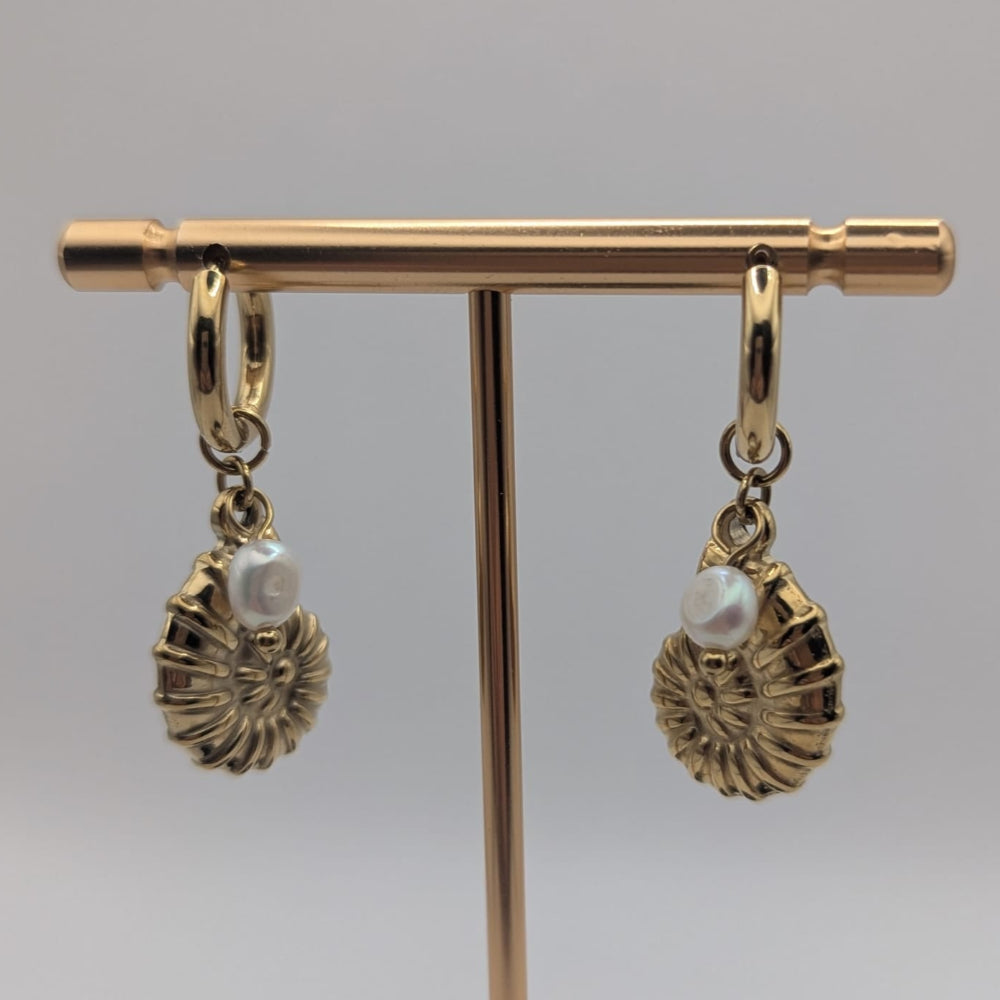 Ammonite Shell Earrings