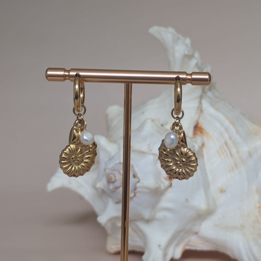 Ammonite Shell Earrings