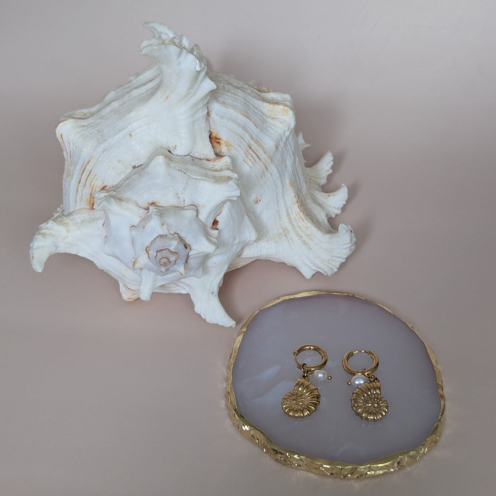 Ammonite Shell Earrings