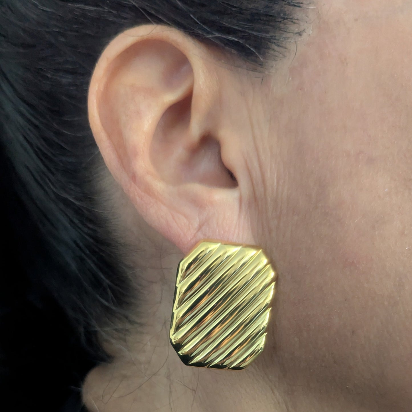 Fiji Earrings