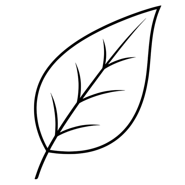 Diagonal Leaf Icon