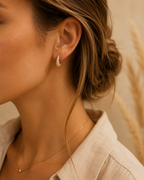 Horseshoe Earrings